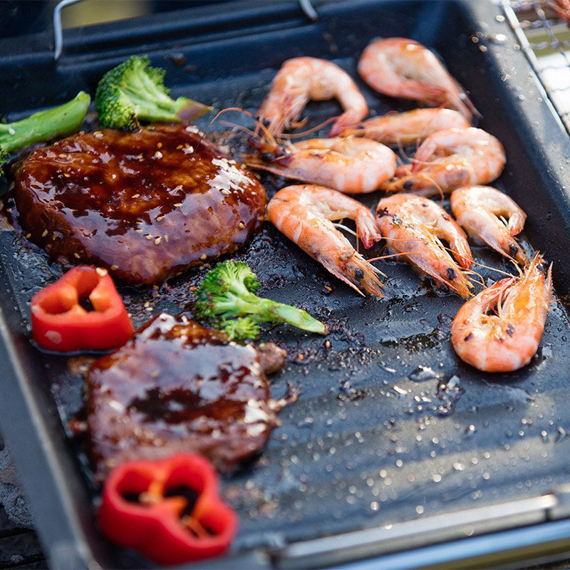 야외용 두꺼운 사각 그릴 팬, 손잡이 두 개, 휴대용  - Camping Hiking Cooking 리뷰 및 가격