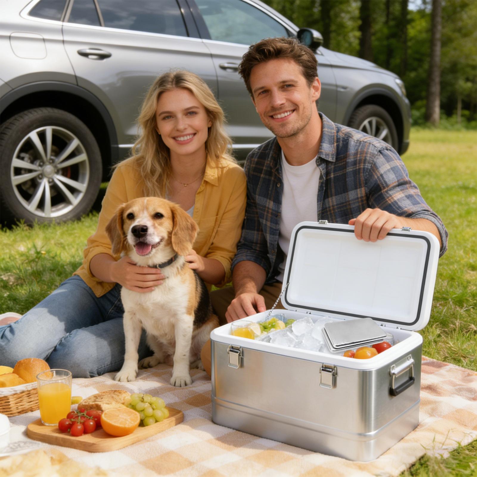 2개 스테인리스 스틸 아이스팩, 오래 지속되는 재사용  - Camping Cooking Box 리뷰 및 가격