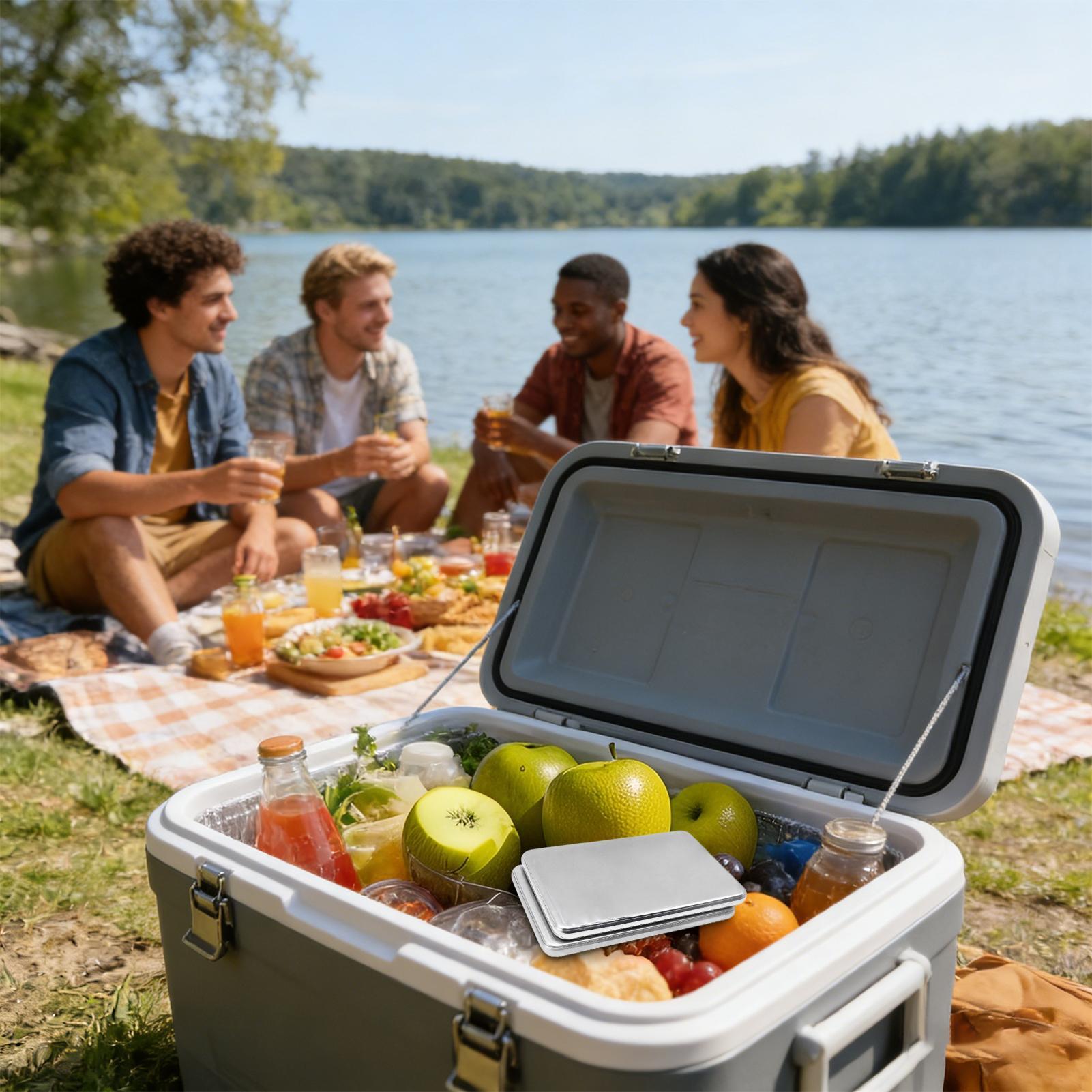 2개 스테인리스 스틸 아이스팩, 오래 지속되는 재사용  - Camping Cooking Box 리뷰 및 가격